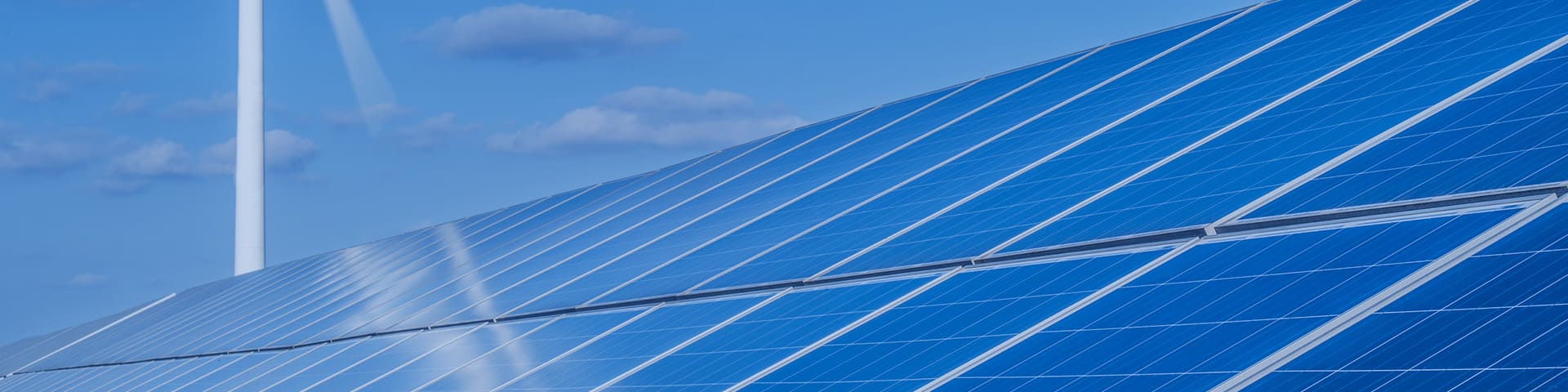 應(yīng)用領(lǐng)域